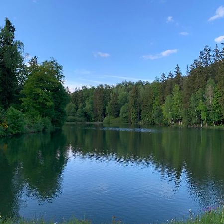 Hotel And Restaurant Bergschloesschen Zorge المظهر الخارجي الصورة