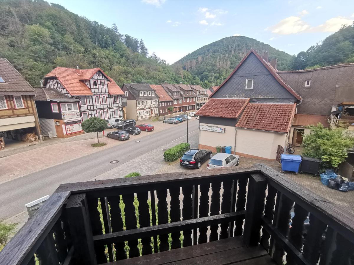 Hotel And Restaurant Bergschloesschen Zorge المظهر الخارجي الصورة