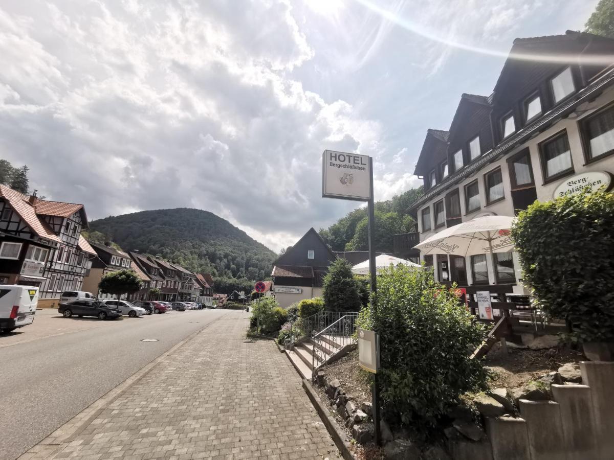 Hotel And Restaurant Bergschloesschen Zorge المظهر الخارجي الصورة