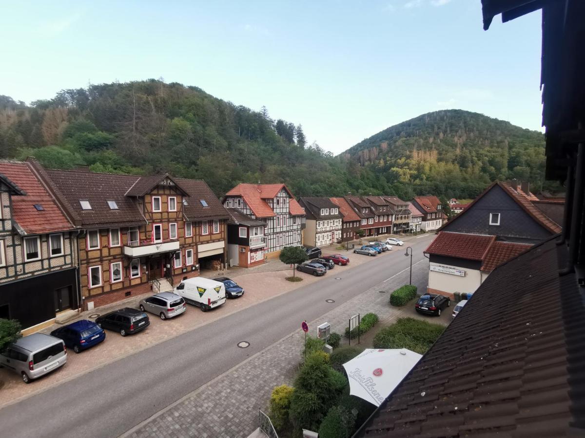 Hotel And Restaurant Bergschloesschen Zorge المظهر الخارجي الصورة