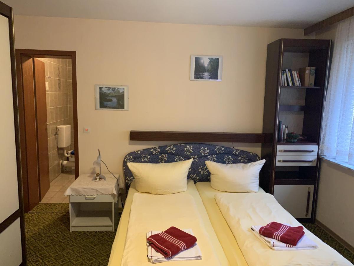 Hotel And Restaurant Bergschloesschen Zorge المظهر الخارجي الصورة